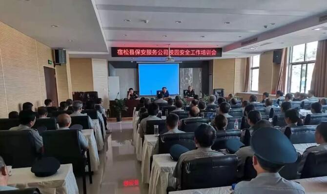 宿松保安服务公司,宿松保安公司